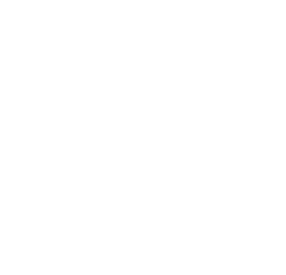 FAISANO — vacation hospitality